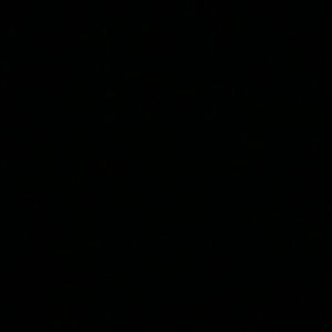 Meet your Posher, Echo